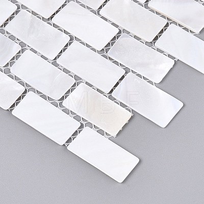 Natural Freshwater Shell Mosaic Tile Cabochons SHEL-Q029-07-1