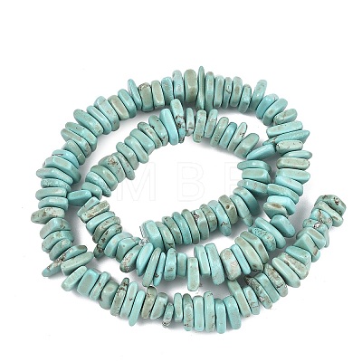 Natural Howlite Beads Strands X-G-A302-A01-03-1