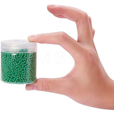 8/0 Round Glass Seed Beads SEED-PH0005-07-1