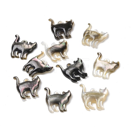Natural Black Lip Shell Pendants SSHEL-H068-05-1