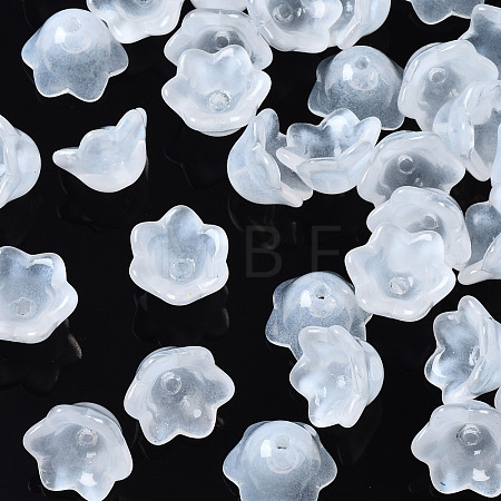 Transparent Spray Painted Glass Beads GLAA-Q089-002A-003-1