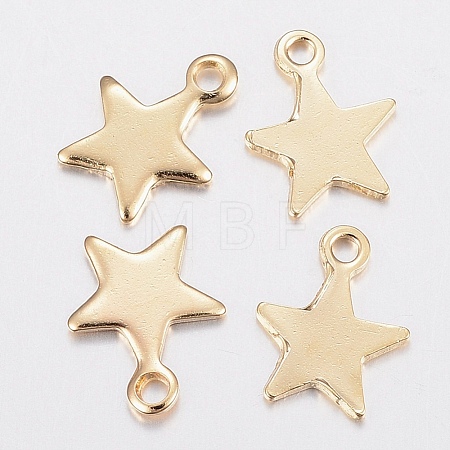 304 Stainless Steel Charms X-STAS-H436-51-1