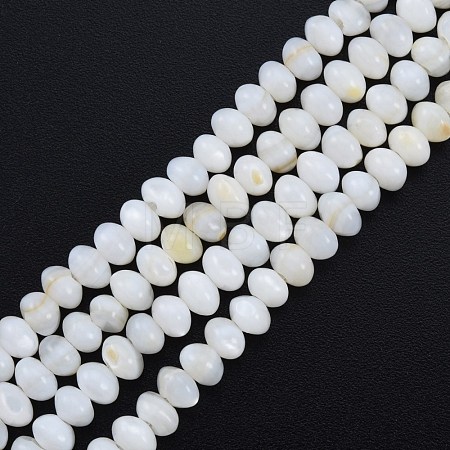 Natural Freshwater Shell Beads Strands SHEL-G013-03B-1