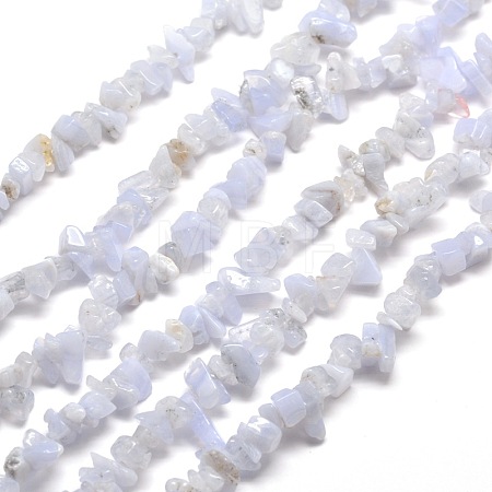 Natural Blue Lace Agate Chip Bead Strands X-G-M205-50-1