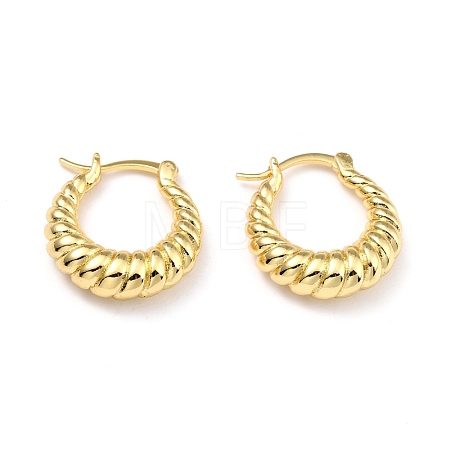 Brass Hoop Earrings EJEW-D273-02G-1