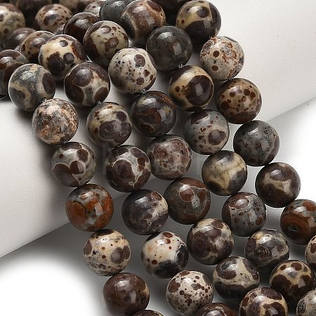 Natural Astroite Jasper Beads Strands G-H329-C02-8mm-1