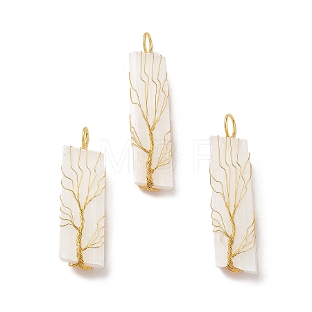 Copper Wire Wrapped Natural Selenite Big Pendants KK-E086-01G-1