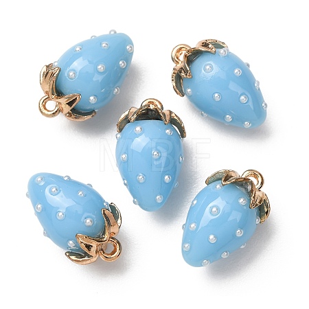 Resin Pendants FIND-C096-01G-02-1