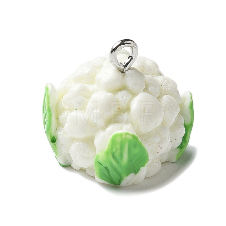 Resin Iron Pendants LS-RESI-D280-07-1