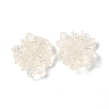 Transparent Resin Cabochons LS-RESI-G027-01A-1