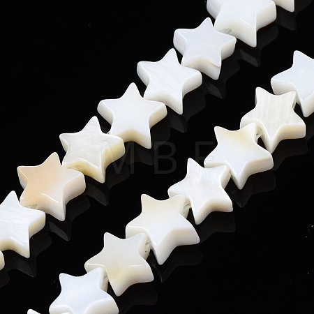 Natural Freshwater Shell Beads Strands SHEL-S278-01A-01-1