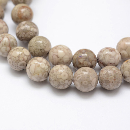 Natural Fossil Coral Beads Strands X-G-P325-01-8mm-1