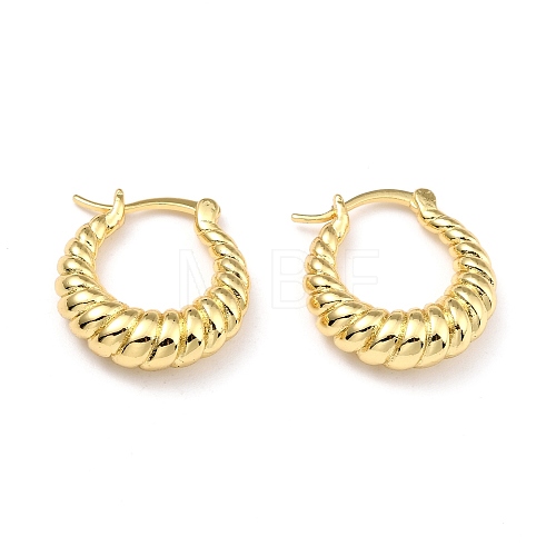 Brass Hoop Earrings EJEW-D273-02G-1