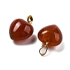 Natural Carnelian Pendants G-J386-H19-G-2