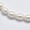 Natural Cultured Freshwater Pearl Beads Strands PEAR-F007-73-3