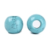 Synthetic Turquoise Beads G-Q608-05I-2