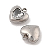 304 Stainless Steel Micro Pave Cubic Zirconia Charms STAS-S131-17P-04-2