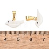 Natural Trochid Shell/Trochus Shell Pendants PALLOY-JF05363-4