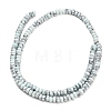 Synthetic Turquoise Beads Strands G-Z110-B01-2x4mm-01-3