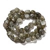 Natural Labradorite Beads Strands G-P497-01E-47-3