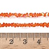 Electroplate Transparent Glass Beads Strands EGLA-P061-04C-AB05-4