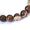 Natural Zebra Jasper Round Bead Strands X-G-E334-10mm-12-2