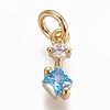 Brass Micro Pave Cubic Zirconia Charms ZIRC-E145-83A-G-1