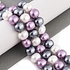 Shell Pearl Beads Strands BSHE-L035-E05-3