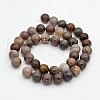 Natural Petrified Wood Round Beads Strands X-G-P101-01-8mm-2