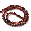 Natural Amber Beads Strands G-K387-D01-01-4