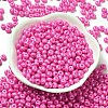 Baking Paint Luster Glass Seed Beads X1-SEED-B001-04A-05-2