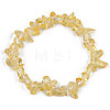 Unisex Chip Natural Quartz Crystal(Dyed & Heated) Beaded Stretch Bracelets BJEW-S143-49-2