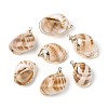Electroplate Natural Spiral Shell Pendants SSHEL-N042-07-1