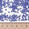 MIYUKI Round Rocailles Beads SEED-X0055-RR0417L-4