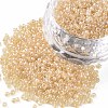 12/0 FGB Grade A Round Glass Seed Beads X-SEED-Q011-F504-1