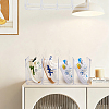 Transparent Acrylic Shoes Storage Rack ODIS-WH0043-281-6