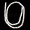 Natural Howlite Beads Strands G-B091-A17-01-3