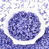 Glass Bugle Beads X-SEED-N007-28C-2
