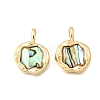 Natural Paua Shell Pendants KK-D255-11G-1