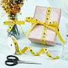 Polyester Ribbon OCOR-CY0004-19D-4