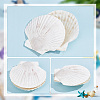 Natural Shell Display Decorations SSHEL-WH0001-39D-4