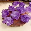 Natural Rough Raw Amethyst Display Decorations G-PW0007-157-1