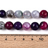 Dyed & Heated Natural Fire Crackle Agate Beads Strands G-N359-01B-11-5