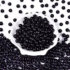 FGB Transparent Glass Seed Beads SEED-N013-01C-16-3