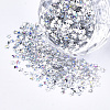 Shining Nail Art Glitter LS-X-MRMJ-T017-04H-1