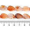 Natural Agate Carved Beads Strands G-H024-B01-01-5