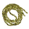 Natural Peridot Beads Strands G-P332-48-02-5