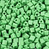 FGB Baking Paint Glass Seed Beads SEED-Q040-09A-12-3