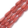 Natural Freshwater Shell Beads Strands SHEL-A004-03F-1