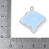 Resin Pendants FIND-A047-02P-01-3